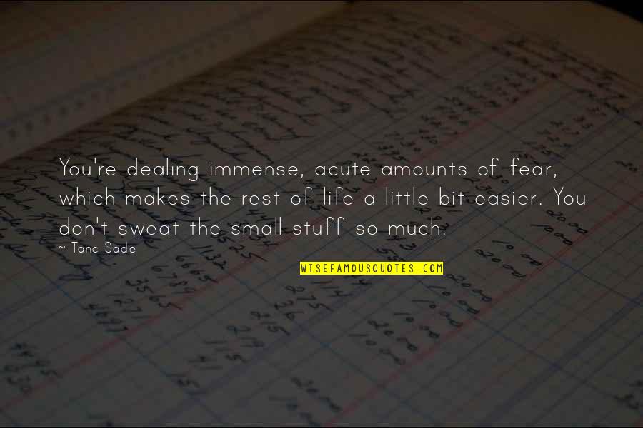 It's All Small Stuff Quotes By Tanc Sade: You're dealing immense, acute amounts of fear, which