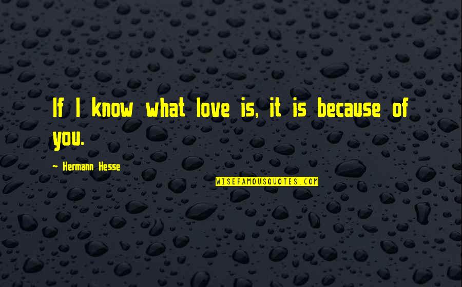 It's Because I Love You Quotes By Hermann Hesse: If I know what love is, it is