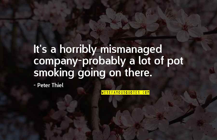 It's Been A Bad Year Quotes By Peter Thiel: It's a horribly mismanaged company-probably a lot of