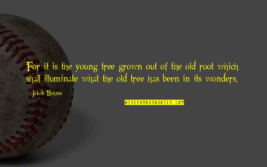 It's Been A Year Since Quotes By Jakob Bohme: For it is the young tree grown out