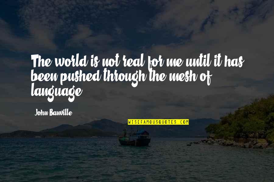 It's Been Real Quotes By John Banville: The world is not real for me until