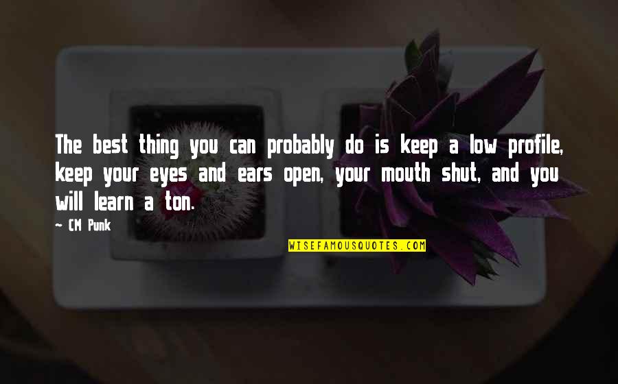 Its Best To Keep Your Mouth Shut Quotes By CM Punk: The best thing you can probably do is