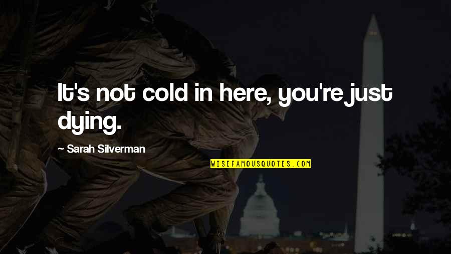 It's Cold Out Here Quotes By Sarah Silverman: It's not cold in here, you're just dying.
