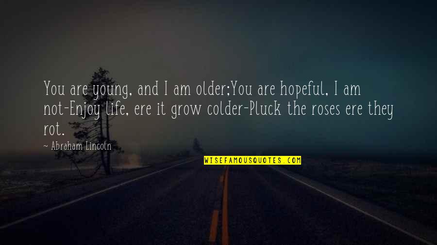 It's Colder Than Quotes By Abraham Lincoln: You are young, and I am older;You are