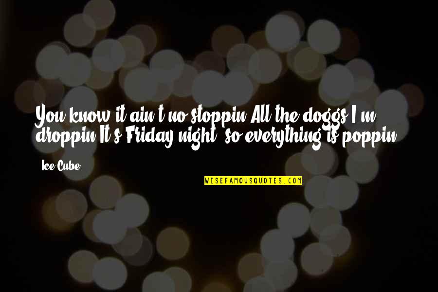 It's Friday Quotes By Ice Cube: You know it ain't no stoppin'All the doggs