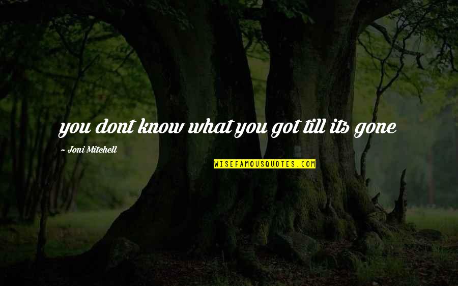 Its Gone Quotes By Joni Mitchell: you dont know what you got till its