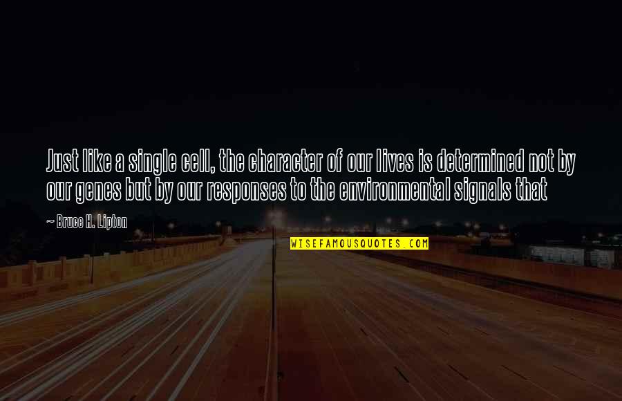 Its Gonna Be A Bumpy Ride Quote Quotes By Bruce H. Lipton: Just like a single cell, the character of Its Gonna Be A Bumpy Ride Quote Quotes By Bruce H. Lipton: Just like a single cell, the character of
