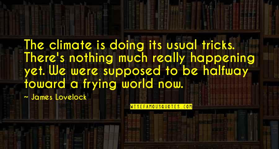 Its Happening Quotes By James Lovelock: The climate is doing its usual tricks. There's