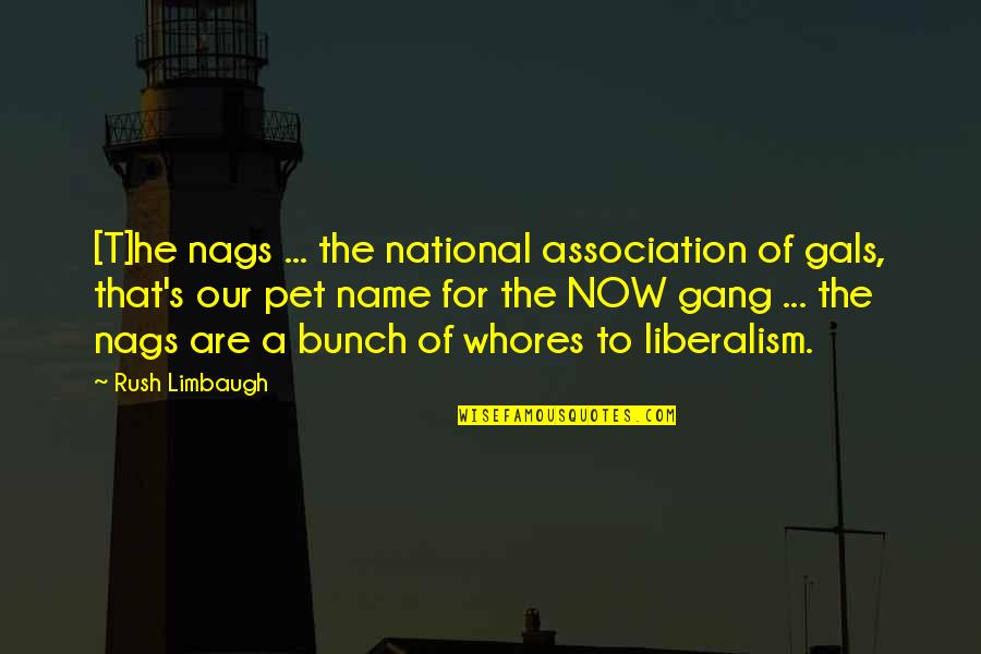 It's Hot Outside Funny Quotes By Rush Limbaugh: [T]he nags ... the national association of gals,