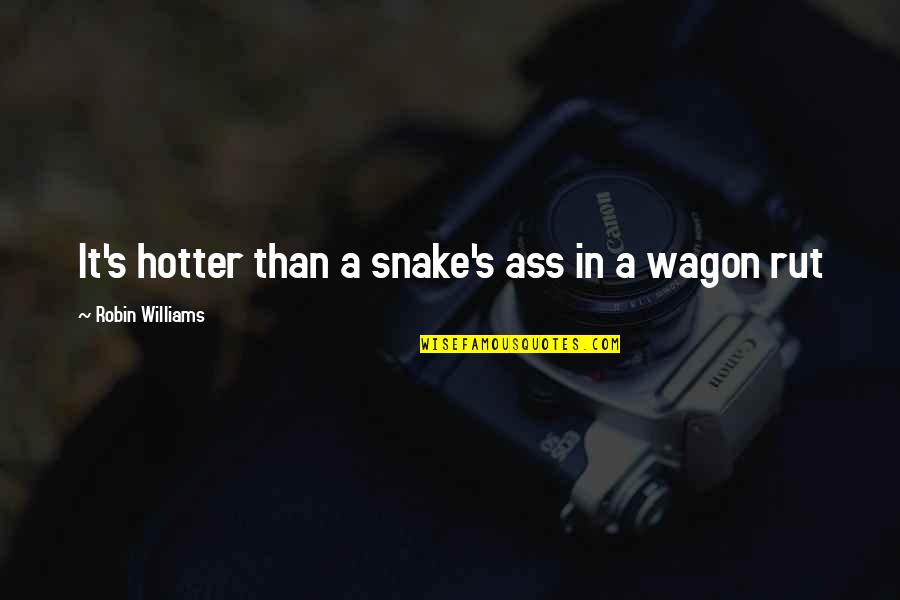 It's Hotter Than Quotes By Robin Williams: It's hotter than a snake's ass in a