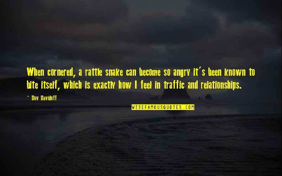 It's How I Feel Quotes By Dov Davidoff: When cornered, a rattle snake can become so