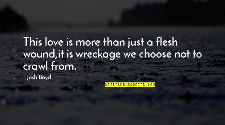 Its Just A Flesh Wound Quotes By Josh Boyd: This love is more than just a flesh