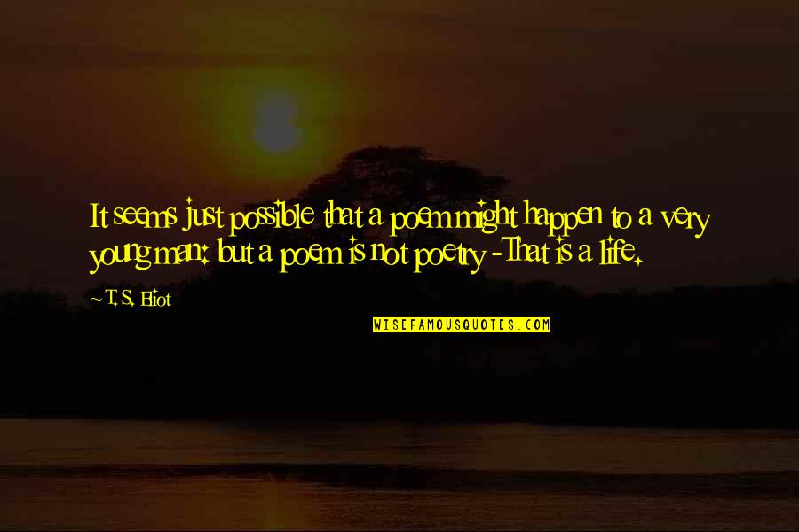 It's Just Life Quotes By T. S. Eliot: It seems just possible that a poem might