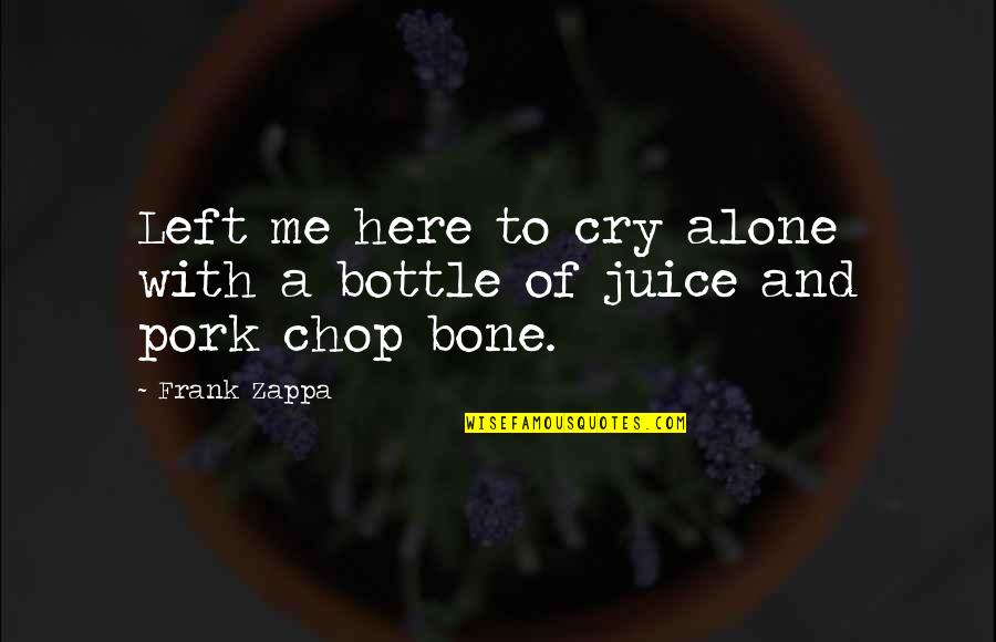 It's Just Me Alone Quotes By Frank Zappa: Left me here to cry alone with a