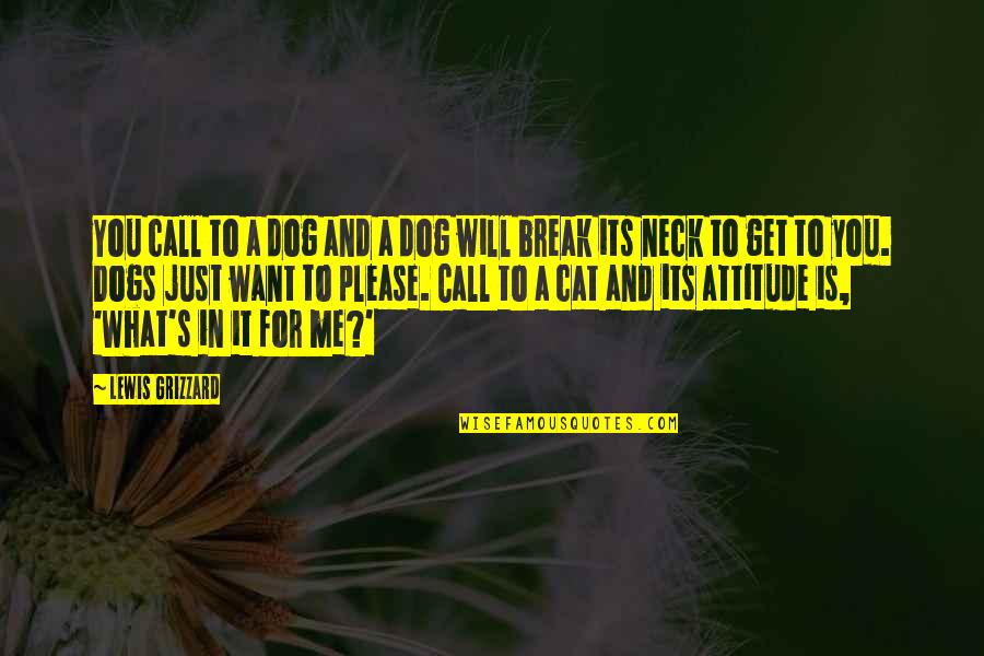 It's Just Me & You Quotes By Lewis Grizzard: You call to a dog and a dog