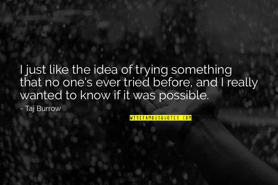 It's Like Trying To Quotes By Taj Burrow: I just like the idea of trying something It's Like Trying To Quotes By Taj Burrow: I just like the idea of trying something
