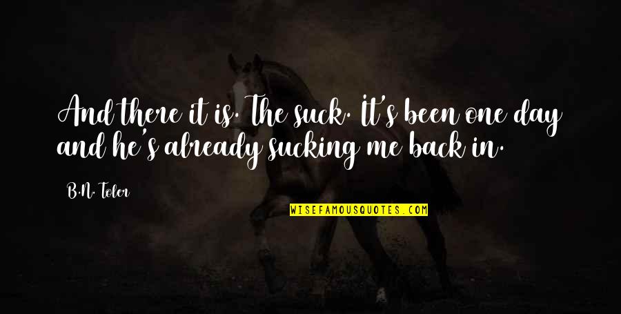 It's Me Quotes By B.N. Toler: And there it is. The suck. It's been