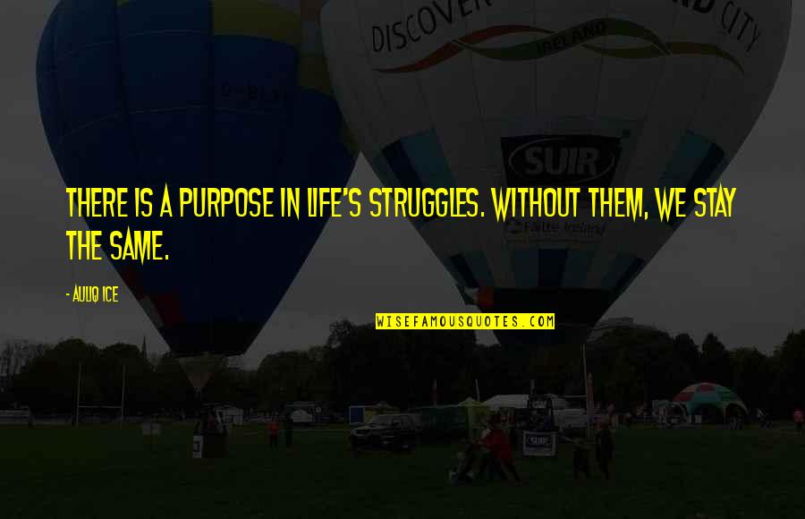 It's My Life Stay Out Of It Quotes By Auliq Ice: There is a purpose in life's struggles. Without