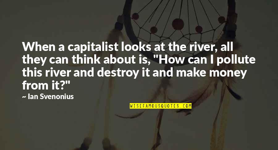 It's Not About Looks Quotes By Ian Svenonius: When a capitalist looks at the river, all