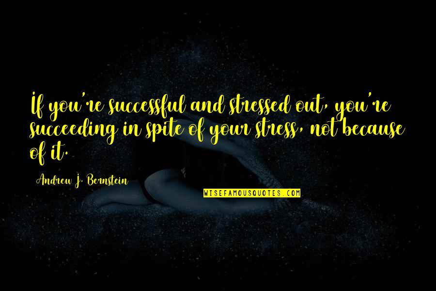 It's Not Because Of You Quotes By Andrew J. Bernstein: If you're successful and stressed out, you're succeeding