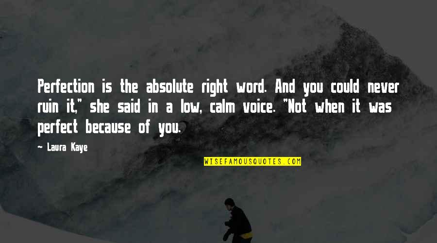 It's Not Because Of You Quotes By Laura Kaye: Perfection is the absolute right word. And you