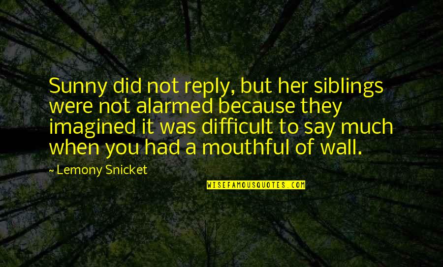 It's Not Because Of You Quotes By Lemony Snicket: Sunny did not reply, but her siblings were