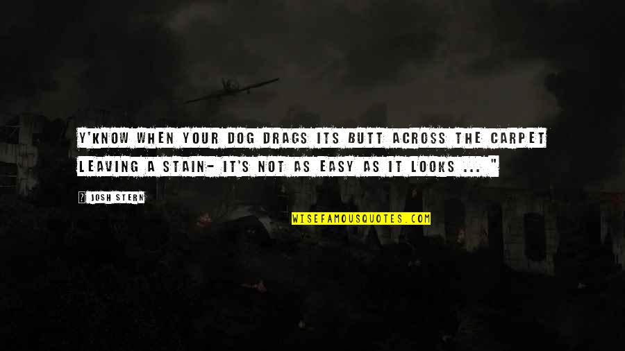 Its Not Easy Quotes By Josh Stern: Y'know when your dog drags its butt across