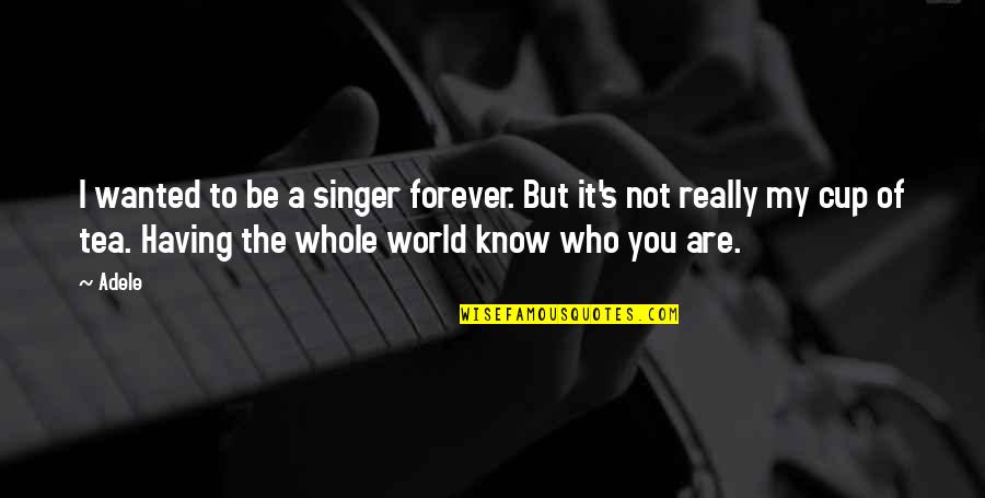 It's Not Forever Quotes By Adele: I wanted to be a singer forever. But