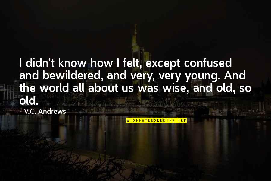 It's Not How Old You Are Quotes By V.C. Andrews: I didn't know how I felt, except confused