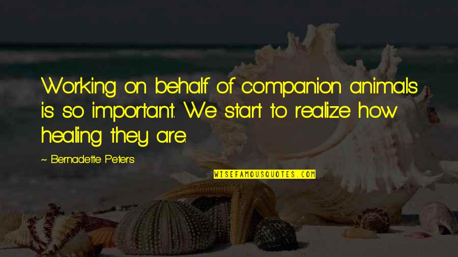 It's Not How You Start Quotes By Bernadette Peters: Working on behalf of companion animals is so