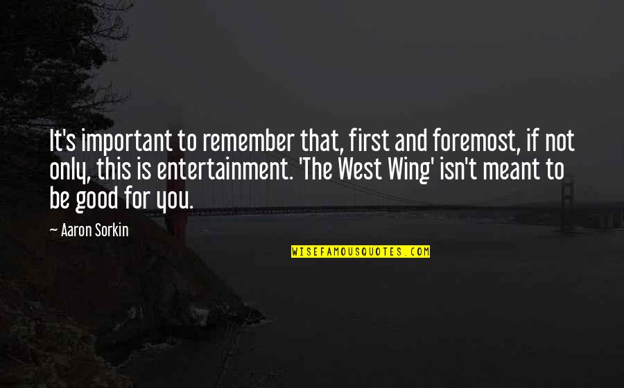 It's Not Important Quotes By Aaron Sorkin: It's important to remember that, first and foremost,