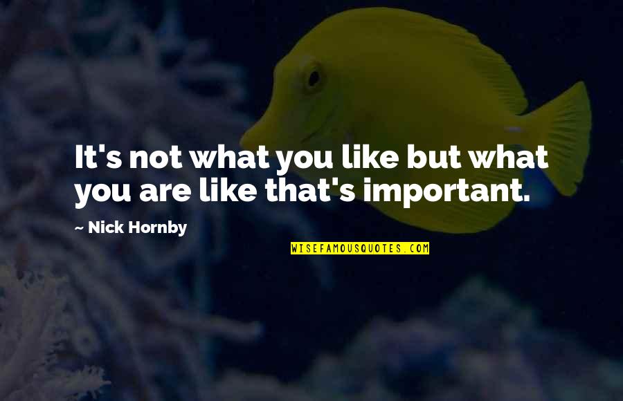 It's Not Important Quotes By Nick Hornby: It's not what you like but what you