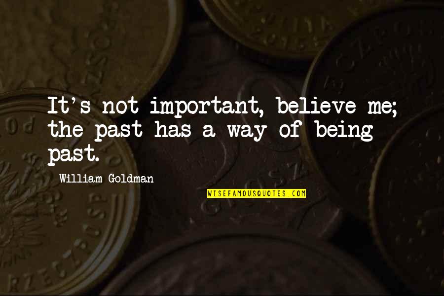 It's Not Important Quotes By William Goldman: It's not important, believe me; the past has