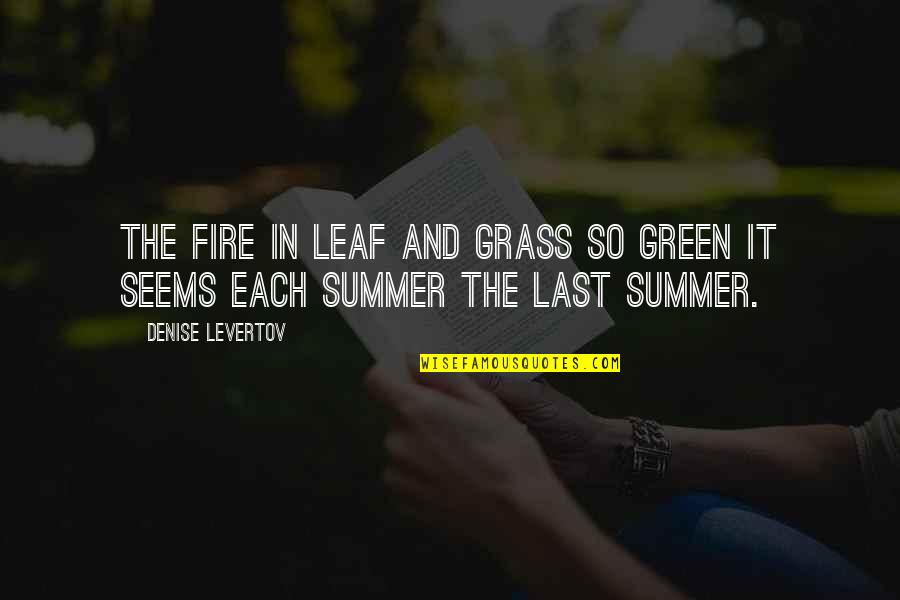 It's Not Summer Without You Quotes By Denise Levertov: The fire in leaf and grass so green