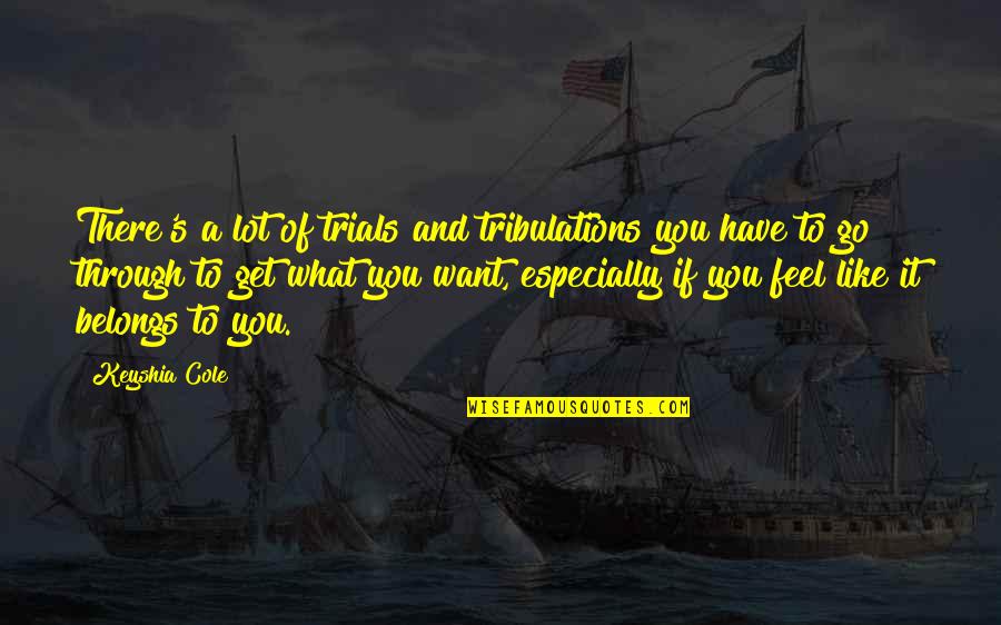 It's Not What I Feel For You Quotes By Keyshia Cole: There's a lot of trials and tribulations you