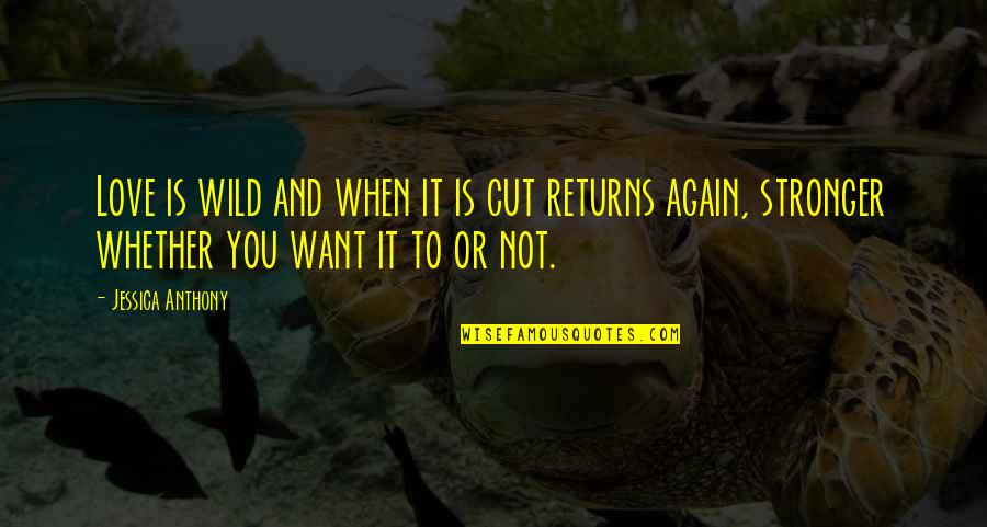 Its Okay To Love Again Quotes By Jessica Anthony: Love is wild and when it is cut Its Okay To Love Again Quotes By Jessica Anthony: Love is wild and when it is cut
