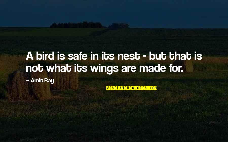 Its Quote Quotes By Amit Ray: A bird is safe in its nest -