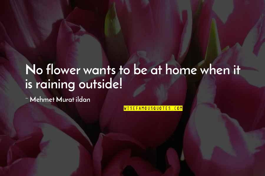 It's Raining Outside Quotes By Mehmet Murat Ildan: No flower wants to be at home when