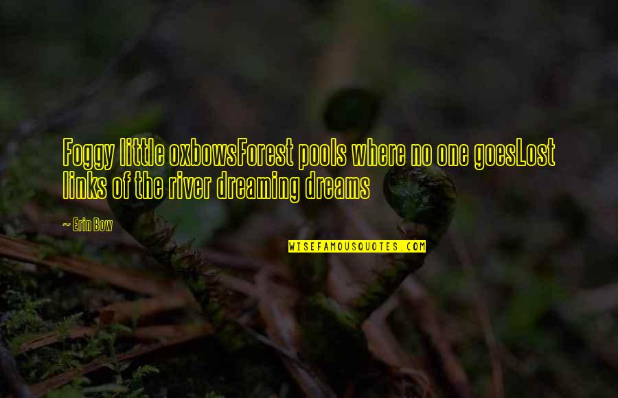 It's So Foggy Quotes By Erin Bow: Foggy little oxbowsForest pools where no one goesLost