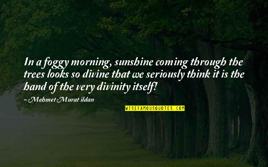 It's So Foggy Quotes By Mehmet Murat Ildan: In a foggy morning, sunshine coming through the It's So Foggy Quotes By Mehmet Murat Ildan: In a foggy morning, sunshine coming through the