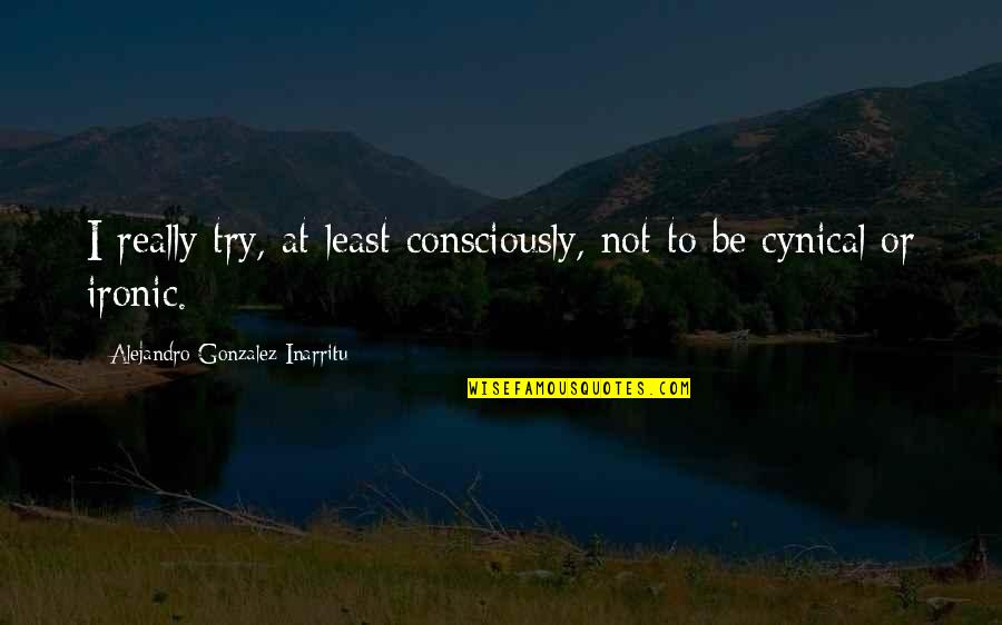 It's So Ironic Quotes By Alejandro Gonzalez Inarritu: I really try, at least consciously, not to