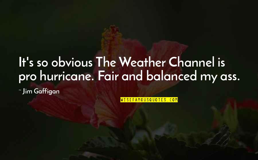 It's So Obvious Quotes By Jim Gaffigan: It's so obvious The Weather Channel is pro