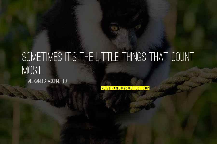 It's The Little Things Quotes By Alexandra Adornetto: Sometimes it's the little things that count most.