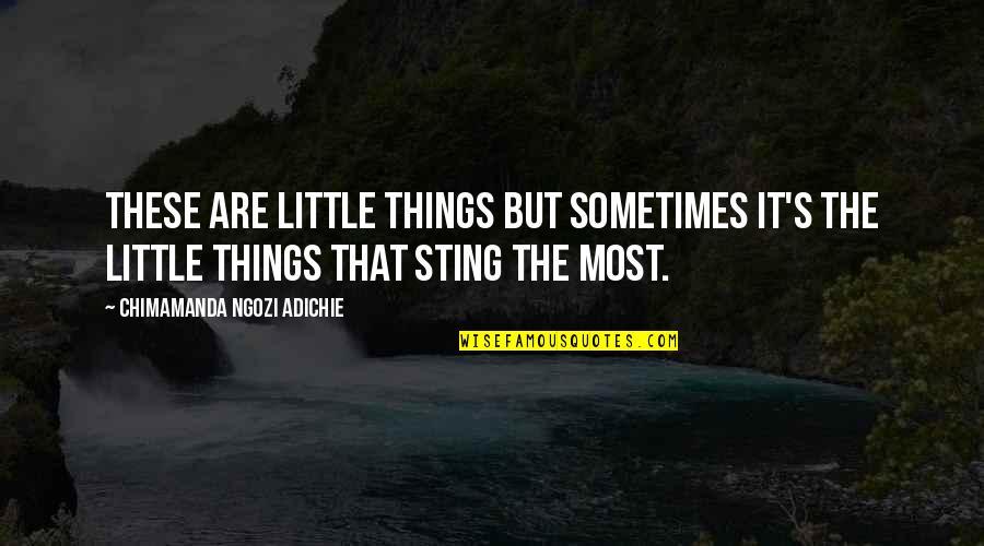 It's The Little Things Quotes By Chimamanda Ngozi Adichie: These are little things but sometimes it's the