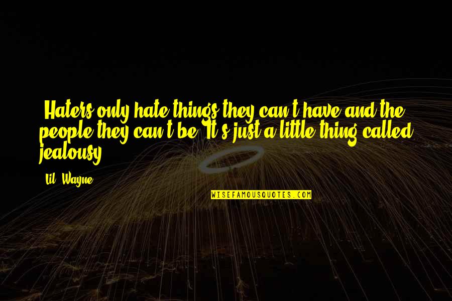 It's The Little Things Quotes By Lil' Wayne: "Haters only hate things they can't have and