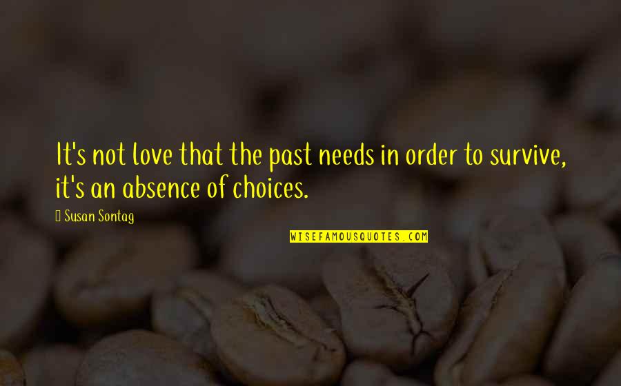 It's The Past Quotes By Susan Sontag: It's not love that the past needs in