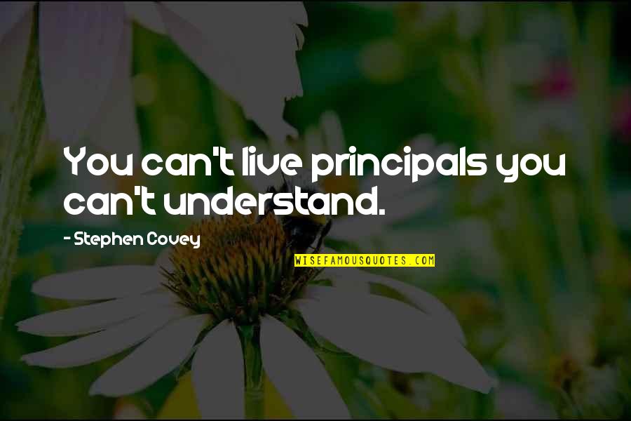 It's The Principal Quotes By Stephen Covey: You can't live principals you can't understand.