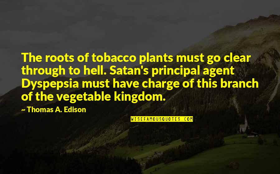 It's The Principal Quotes By Thomas A. Edison: The roots of tobacco plants must go clear