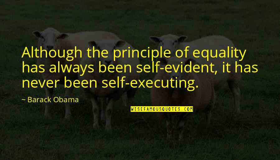 It's The Principle Quotes By Barack Obama: Although the principle of equality has always been