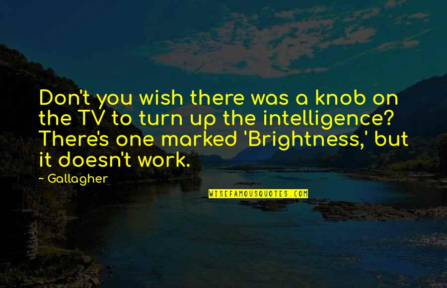 It's Up To You Quotes By Gallagher: Don't you wish there was a knob on